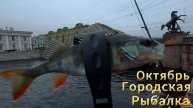 ОКУНЬ В ГОРОДЕ ОКТЯБРЬ РЫБАЛКА ОСЕННИЕ ПРИМАНКИ НА ОКУНЯ КЛЁВ НА ВСЕ ЦВЕТА И РАЗМЕРЫ ПРИМАНОК