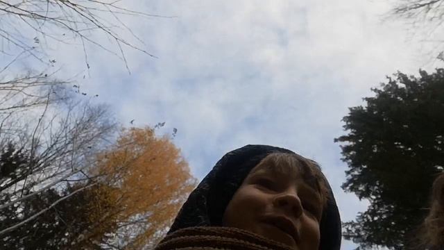 VID_20251012_150100.mp4