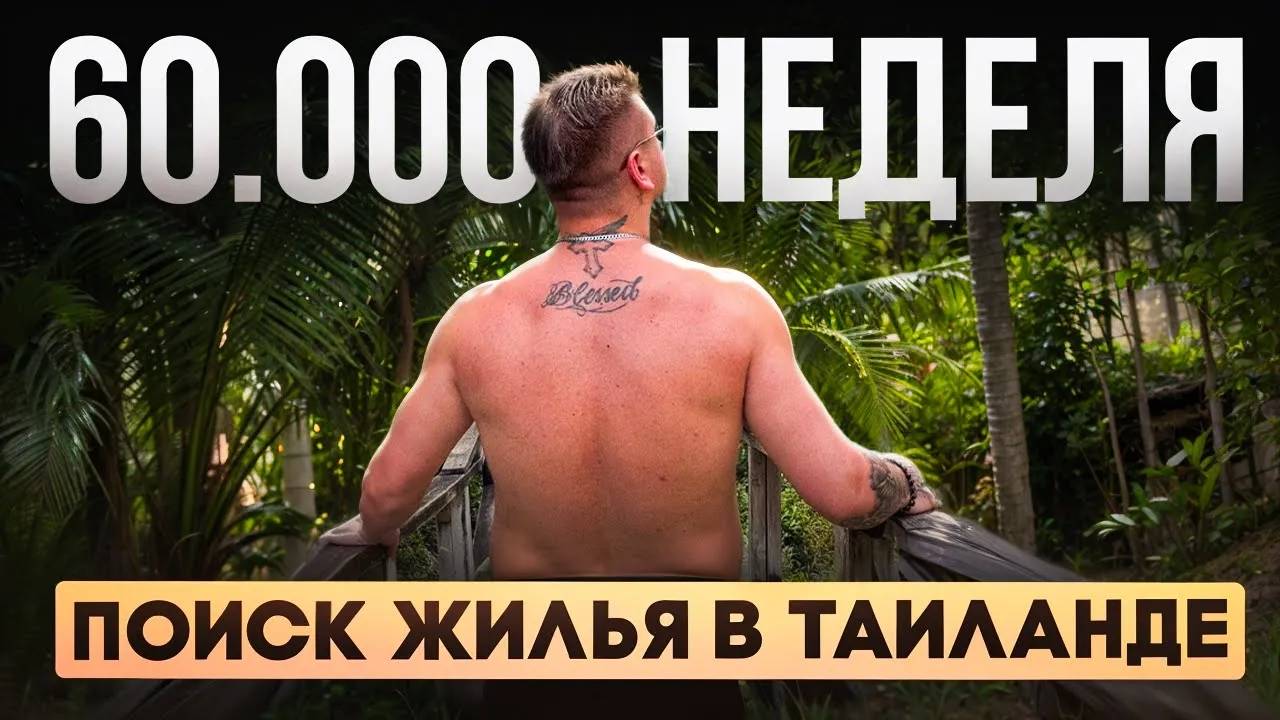 ЖИТЬ ИЛИ ВЫЖИВАТЬ I Приключения в поисках жилья  Снял самый дорогой номер на неделю  Словил белку