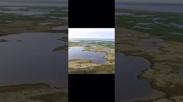 VID-20251005-WA0000.mp4
