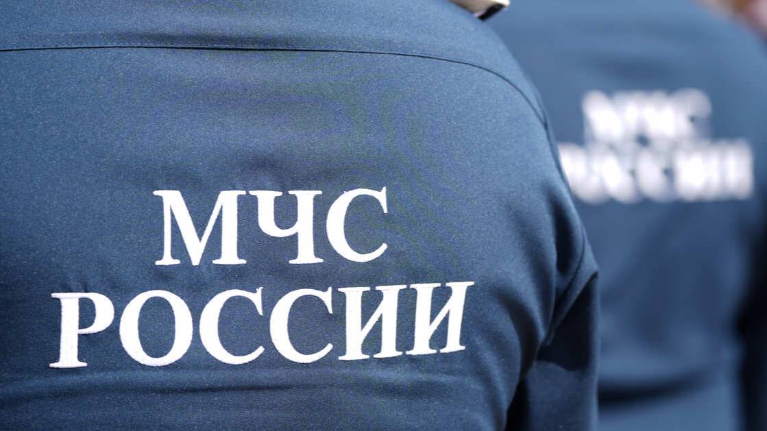 Пропавшая пенсионерка спаслась устроив концерт в тверском лесу