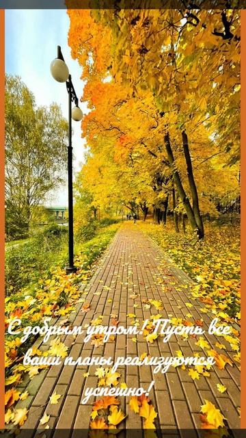 Доброе утро! Хорошего дня ! #ДоброеУтро #ХорошегоДня #Открытка #ПозитивноеУтро