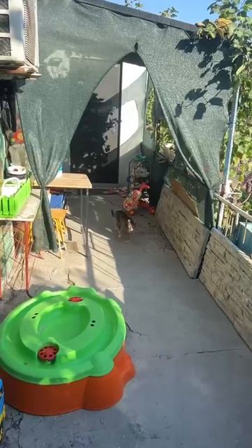14600.mp4