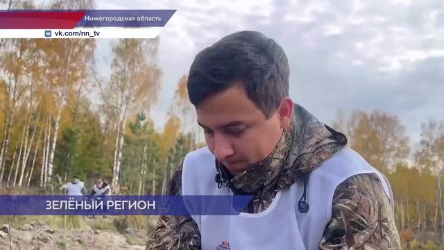 Более 20 тысяч саженцев высадили в Шатках