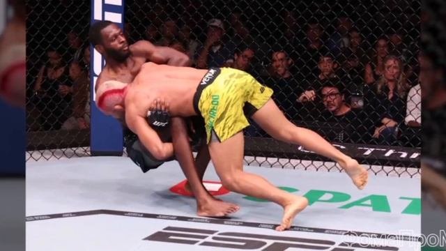 UFC Fight Night обзор, Оливейра машина, Гамрот посредственность, Фигиредо апсетнул