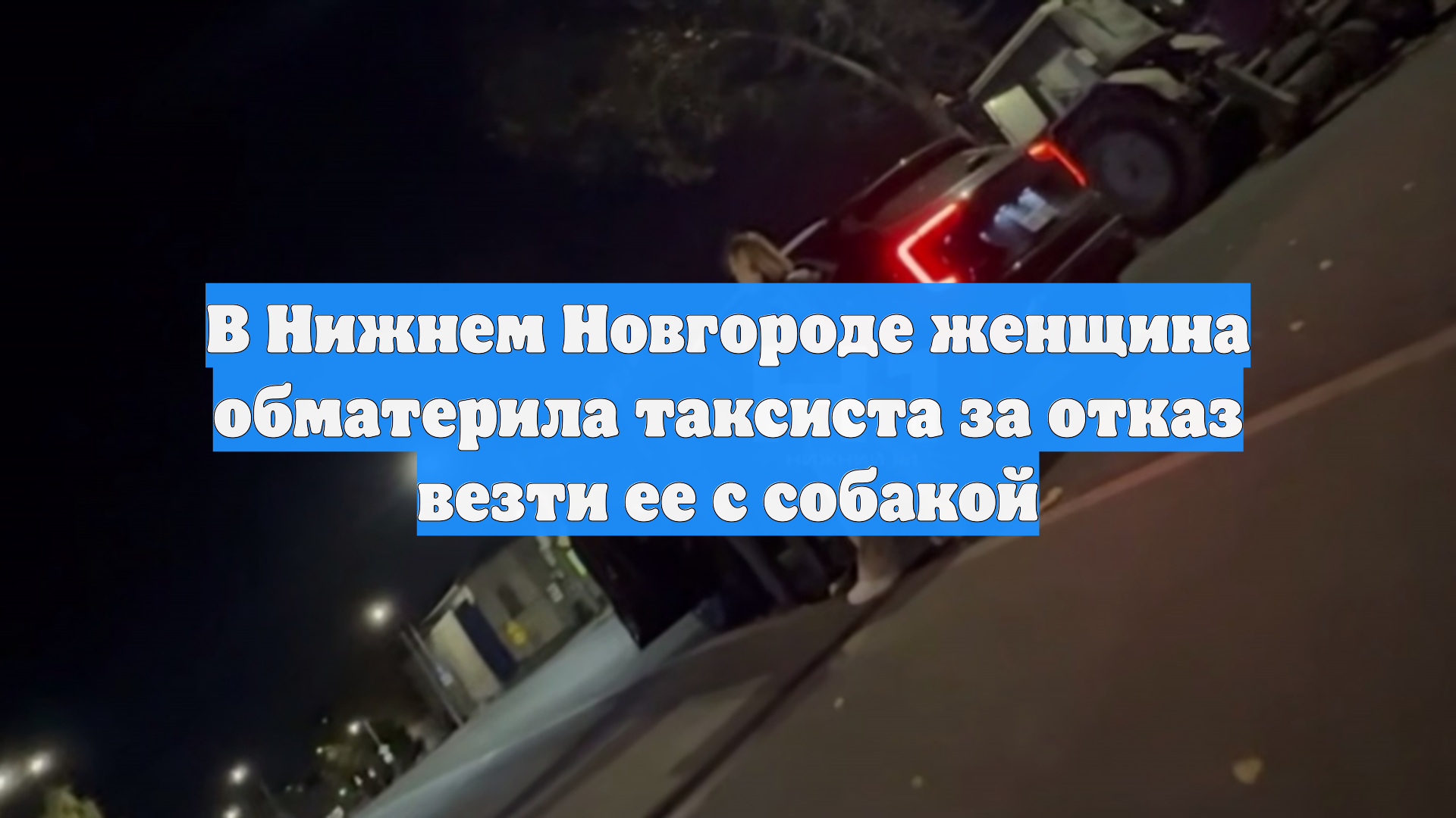 В Нижнем Новгороде женщина обматерила таксиста за отказ везти ее с собакой