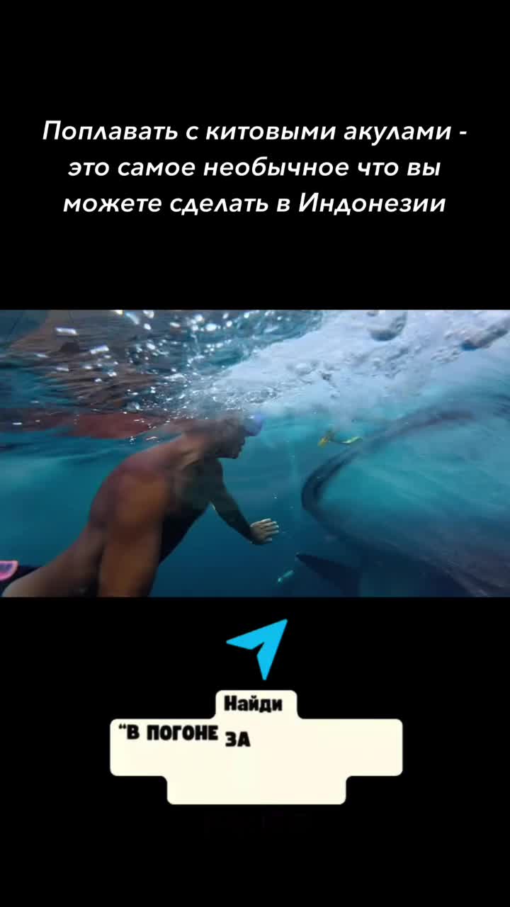  Всё что нельзя выкладывать сюда - закулисье и истории за которые меня постоянно банят уже л...