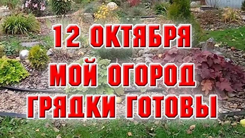12 октября. Показываю свой огород. Подготовила грядки к зиме