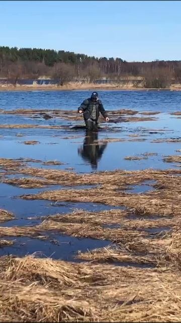 Весна. Забрался в болотниках по высокой воде