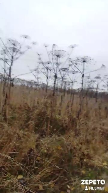 1000006774.mp4