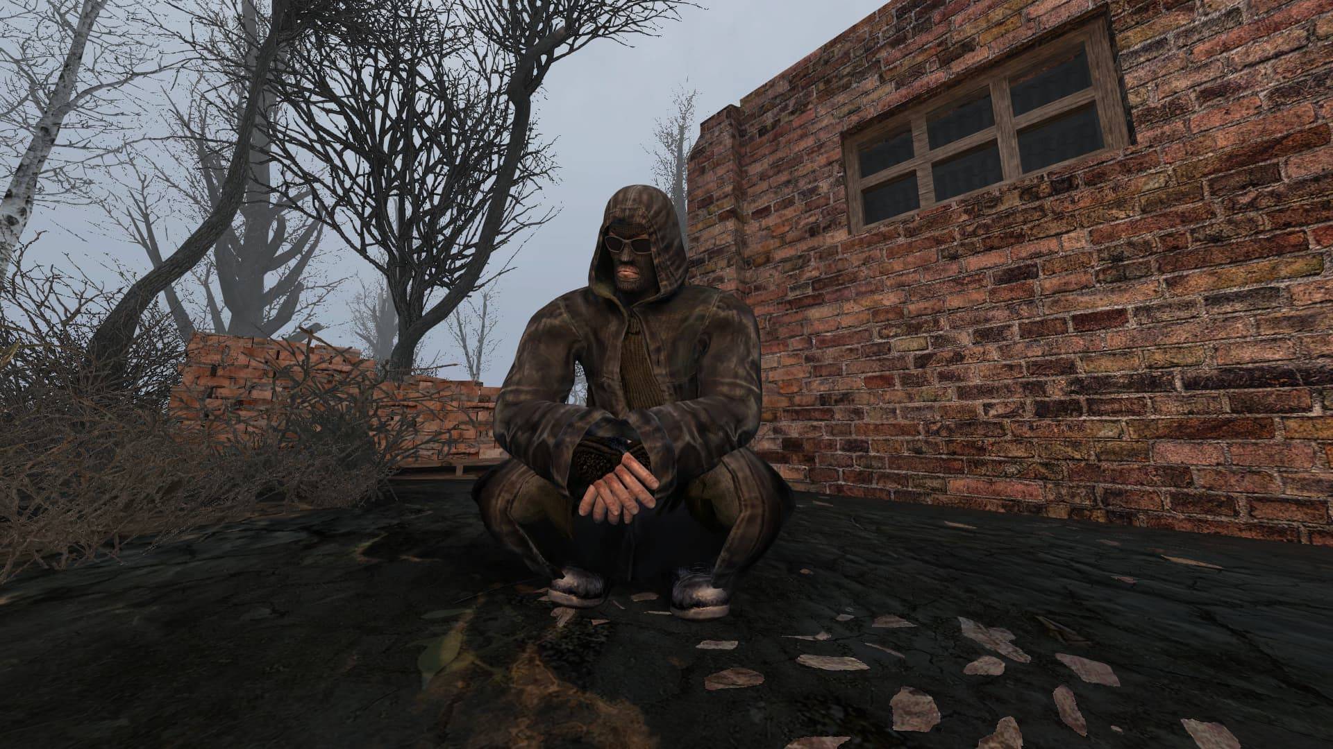 S.T.A.L.K.E.R. Anomaly 1.5.3 BOSSPACK V. 1.9.2. Игра с элементами RPG. #2 Тотальная боль #stalker