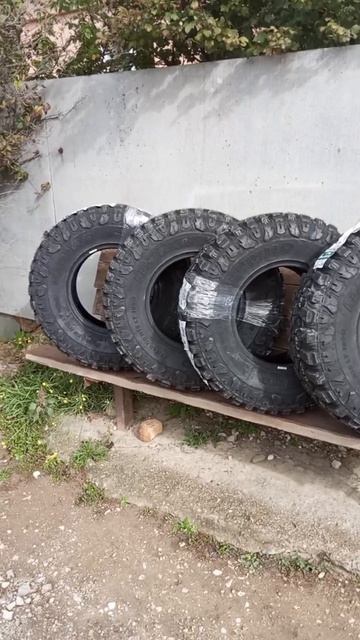 добро из Алтая