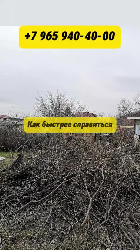 Как избавиться от веток после обрезки сада? Позвоните по номеру +7 965 940-40-00, чтобы узнать по...