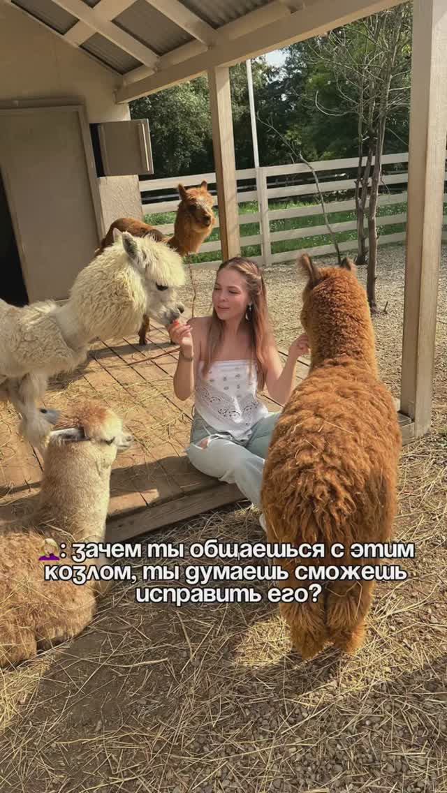 Как общаться с козлами ?
