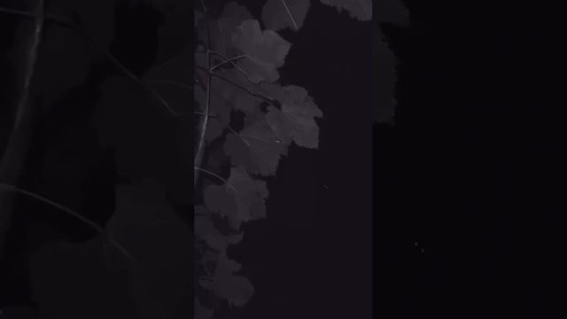Зачем ушёл ты....