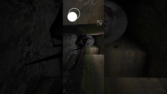 1000001336.mp4