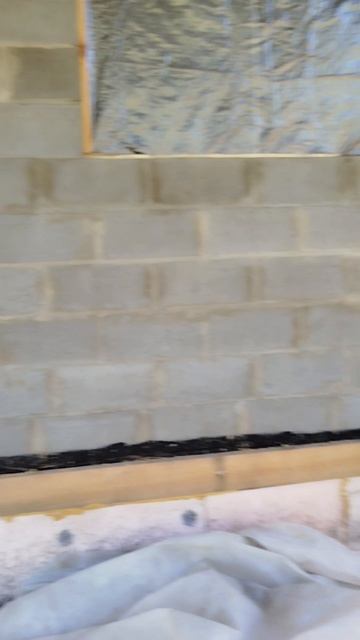 1000036761.mp4