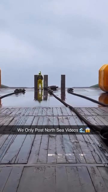 Ищем нового юнгу