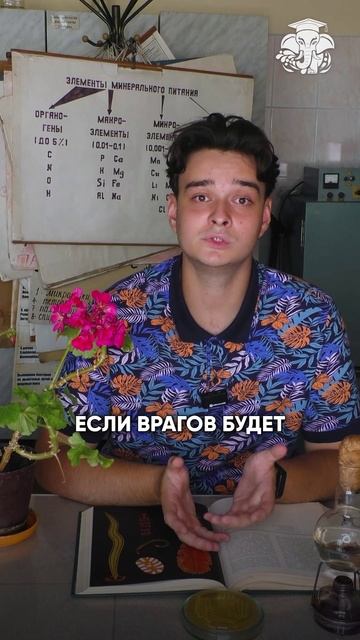 Клетки-пожиратели и нобелевка
