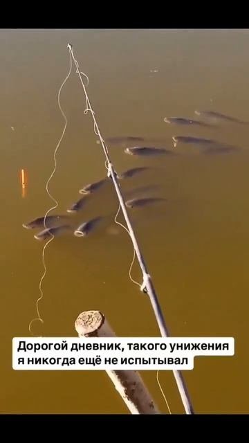 Клип @zatropheem