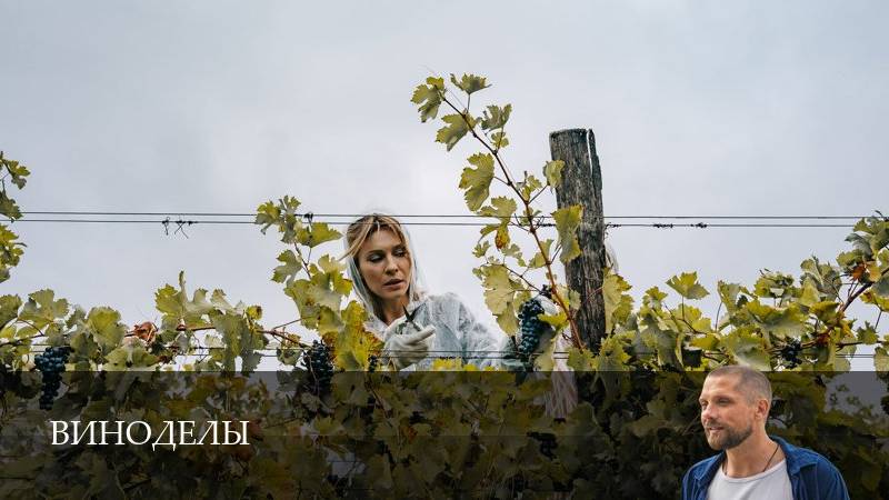 Виноделы 1 Сезон 7 серия