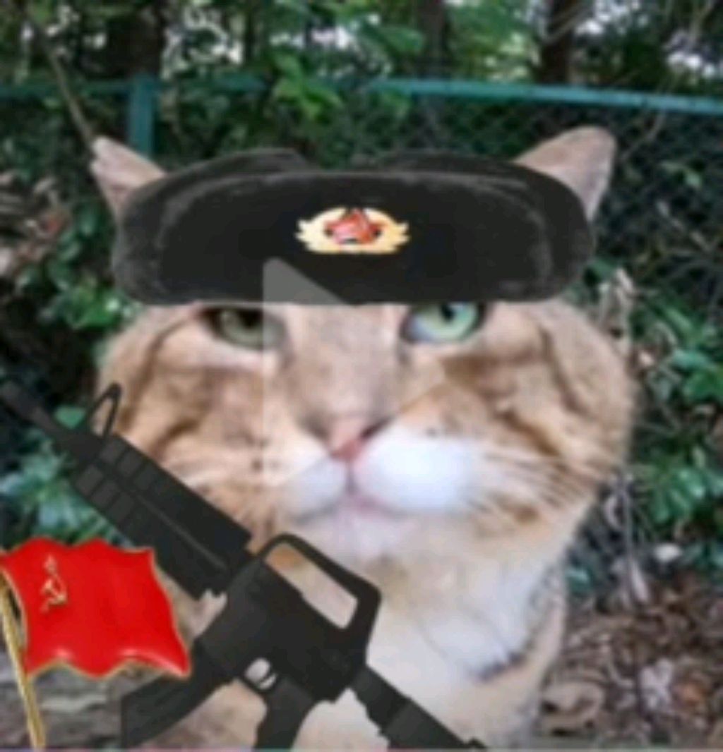 стрим