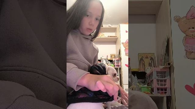 иду гулять