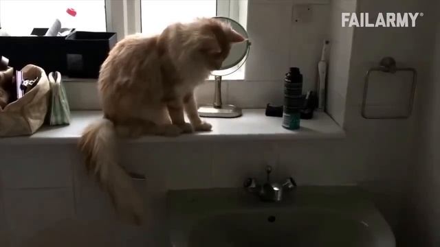 смешно так слез