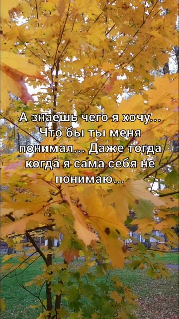 вот и осень 🍂