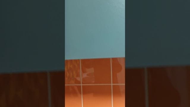 1000191183.mp4