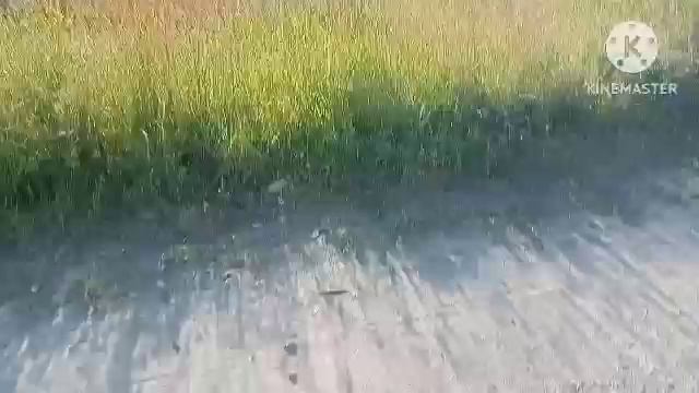 1000037692.mp4