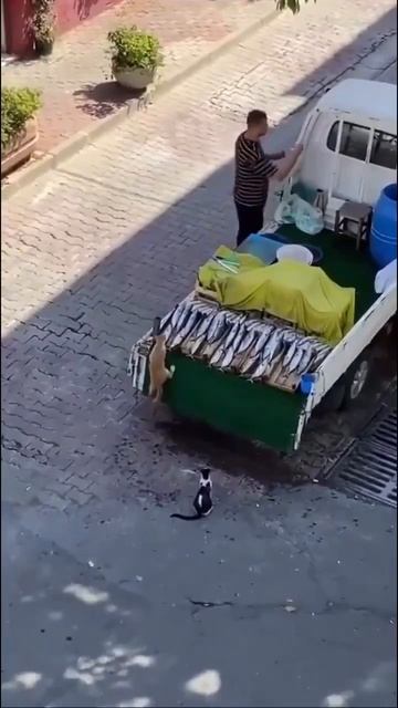 Миссия выполнима! 😄
