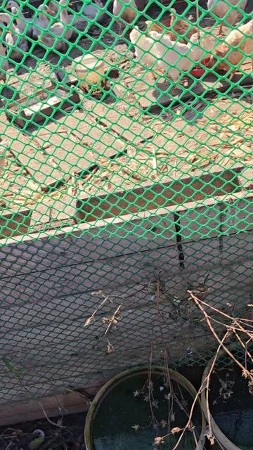 1000387905.mp4