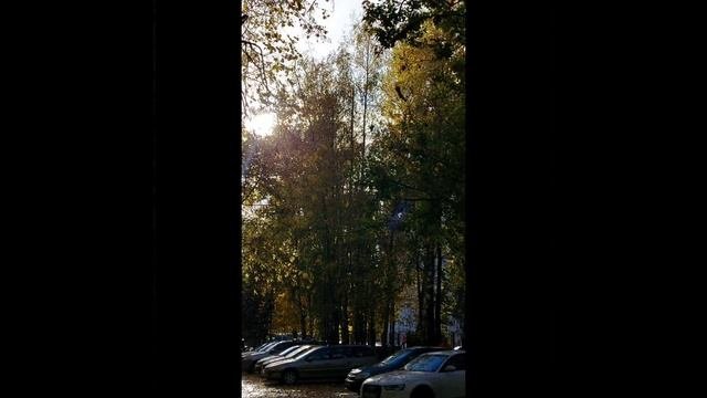 осенние зарисовки