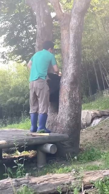 VID_20251012_080515_218.mp4