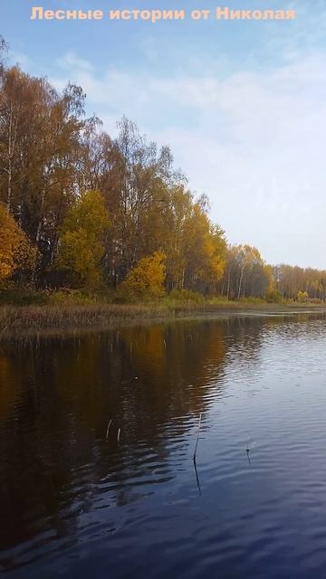 Красота осеннего озера 2025