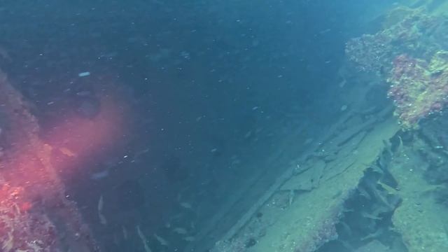 дайв-сайт Neptune рэк дайвинг в Дубае, ОАЭ