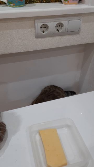 не сопрешь-не проживёшь..