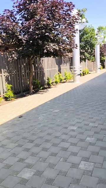 прошлись, в кафе никого