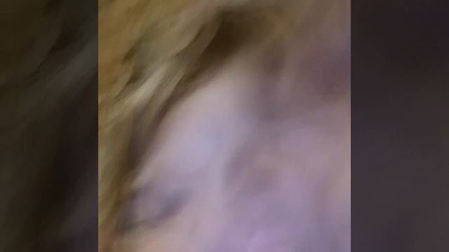 VID-20251011-WA0059.mp4