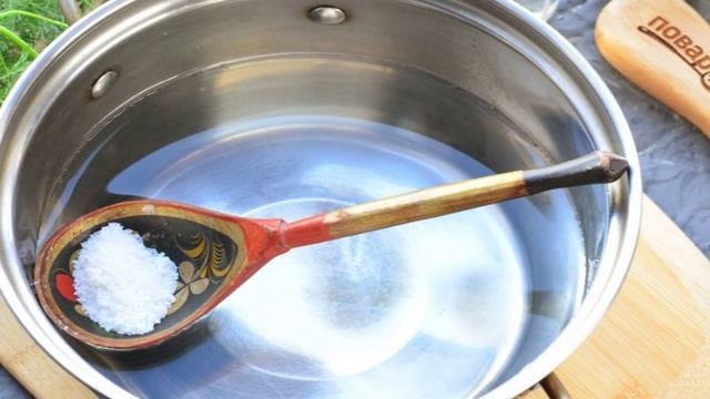 Огурцы кружками на зиму