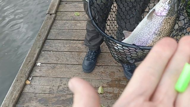 1000085212.mp4