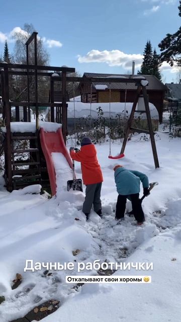 Дачные работнички