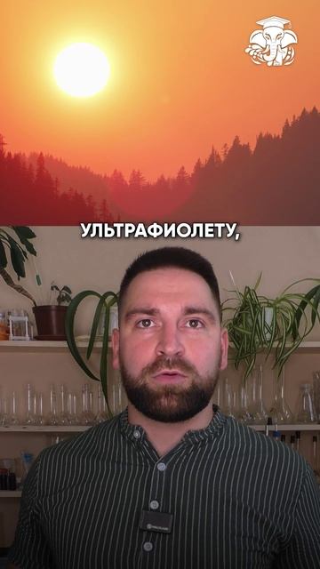 Озоновый щит. Как Земля спасется от Солнца