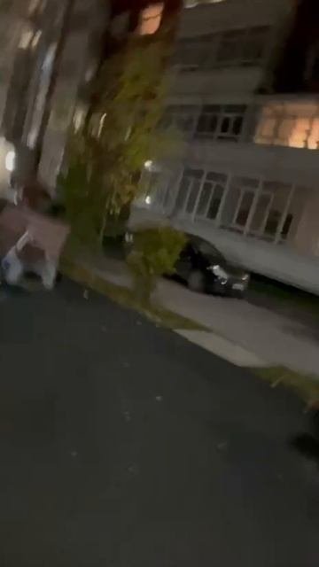 Обзор от Глеба и Егора
