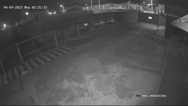 Быстро Бегущее Существо