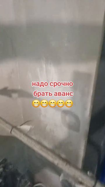 Приколов TV 