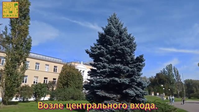 Ботанический сад. Москва. Возле главного входа.