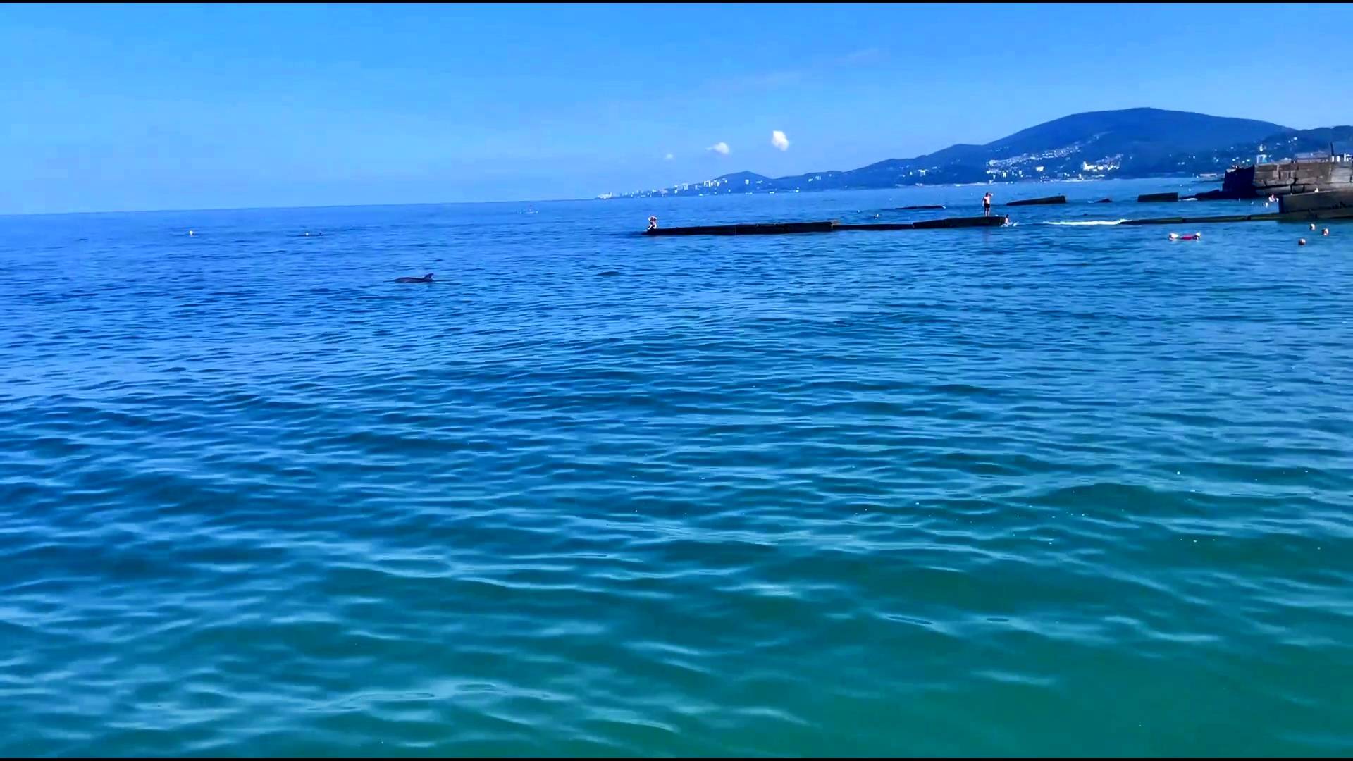 ЛЕТО. СОЧИ. МОРЕ.