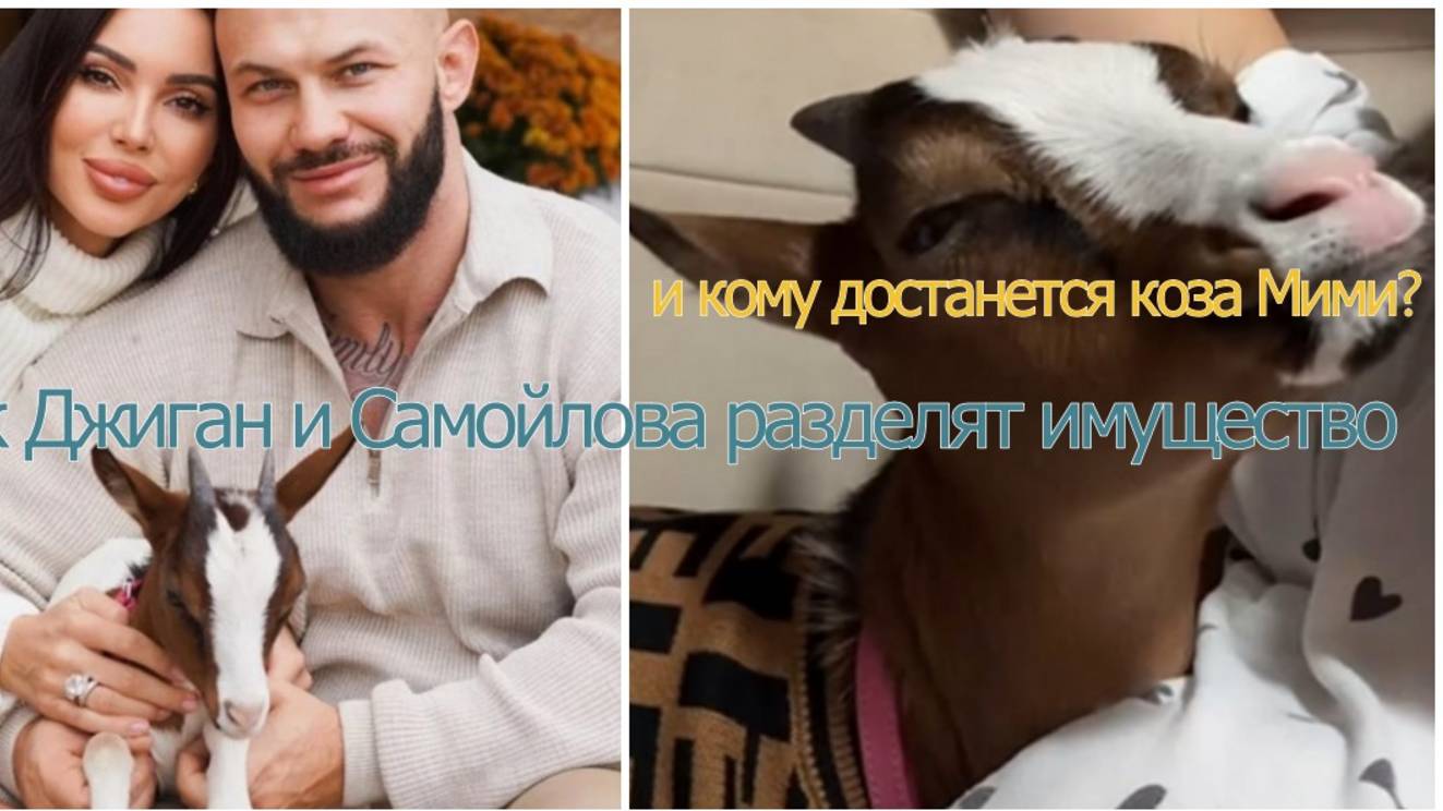 Как Джиган и Самойлова разделят имущество — и кому достанется коза Мими?